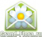 Логотип компании Доставка цветов Гранд Флора (ф-л г.Темрюк)